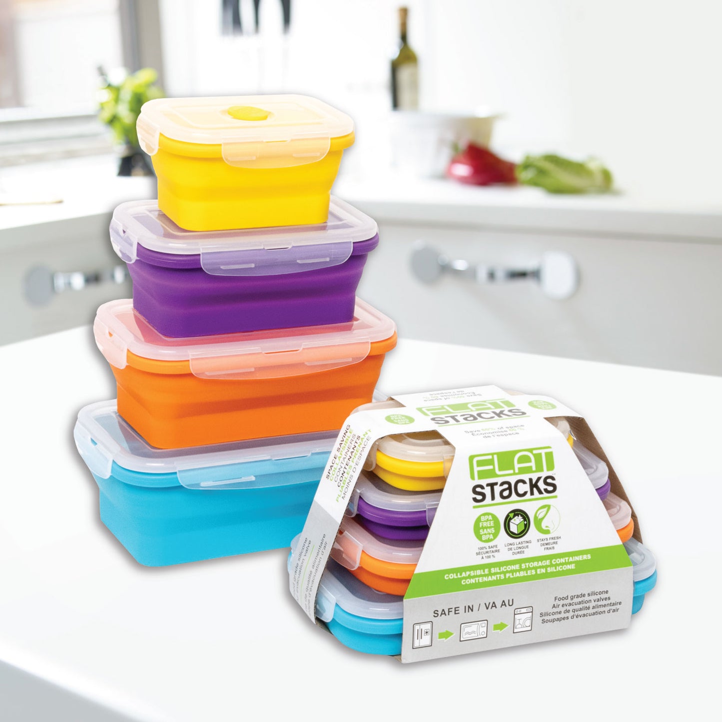 Set of 4 Collapsible Food Storage Containers with Lids Flat Stacks Travel  Fo